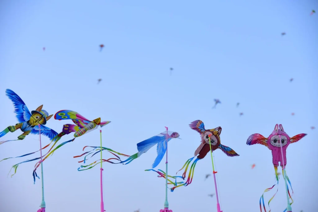 Festival Flight, from A Kite Is a Wing on a String