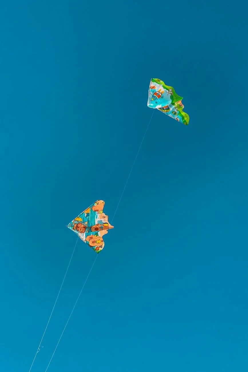 Joy and Freedom, from A Kite Is a Wing on a String