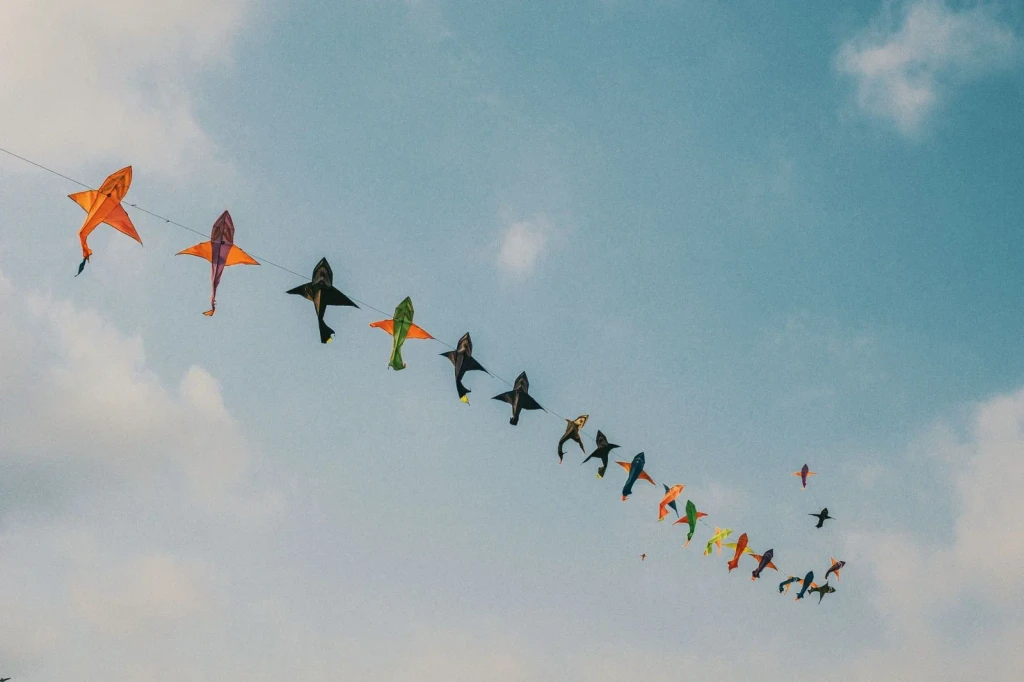 A Day for Flying, from A Kite Is a Wing on a String