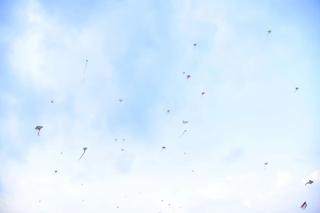 Sky Full of Joy, from A Kite Is a Wing on a String