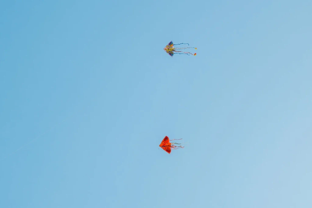 Quy Nhơn Pair, from A Kite Is a Wing on a String