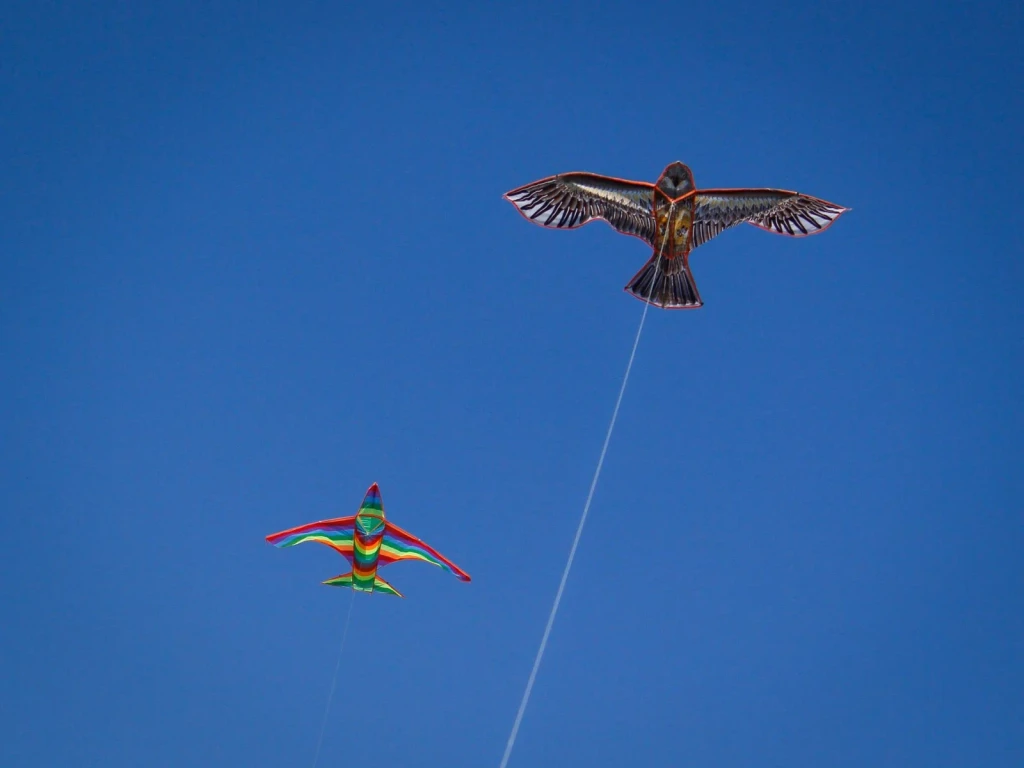 Birds of a Feather, from A Kite Is a Wing on a String