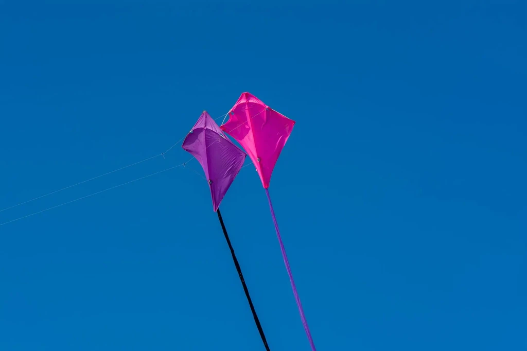 Pink and Purple Dreams, from A Kite Is a Wing on a String