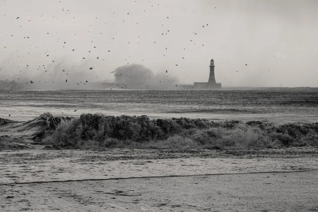Distant Sentinel, from A Lighthouse Stands Where the Land Ends