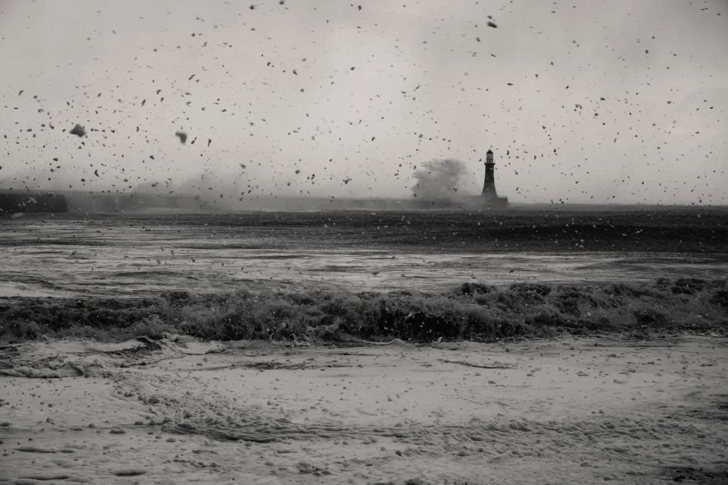 The Force, from A Lighthouse Stands Where the Land Ends