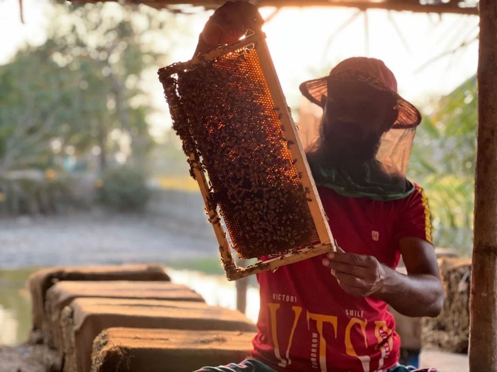Examining the Comb, from Beekeeping: An Ancient Life with the Hive
