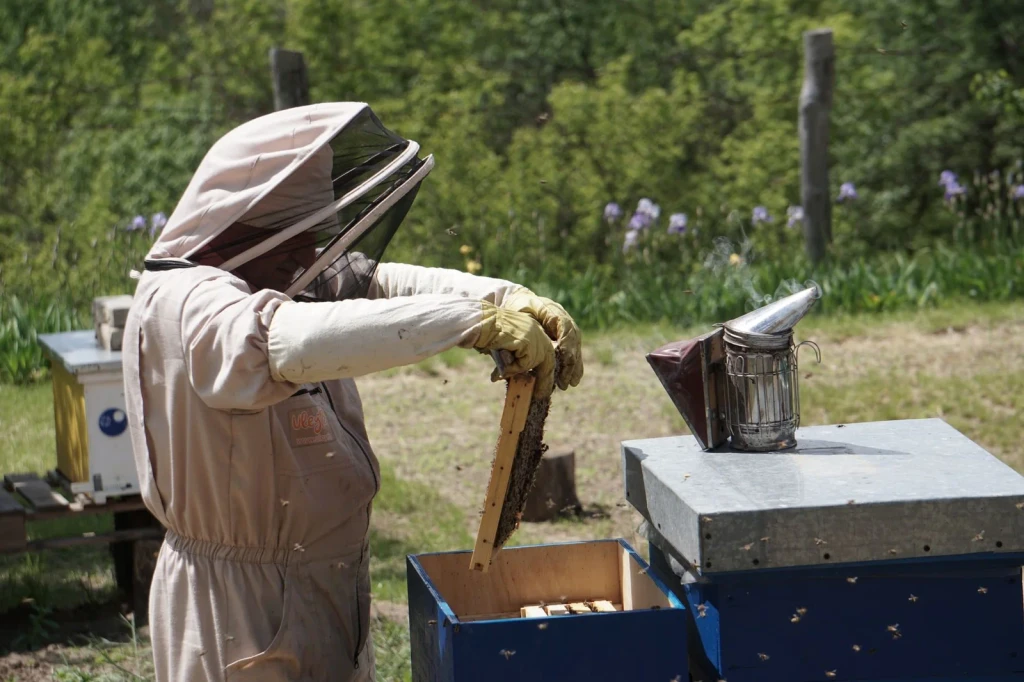 Suited for the Work, from Beekeeping: An Ancient Life with the Hive