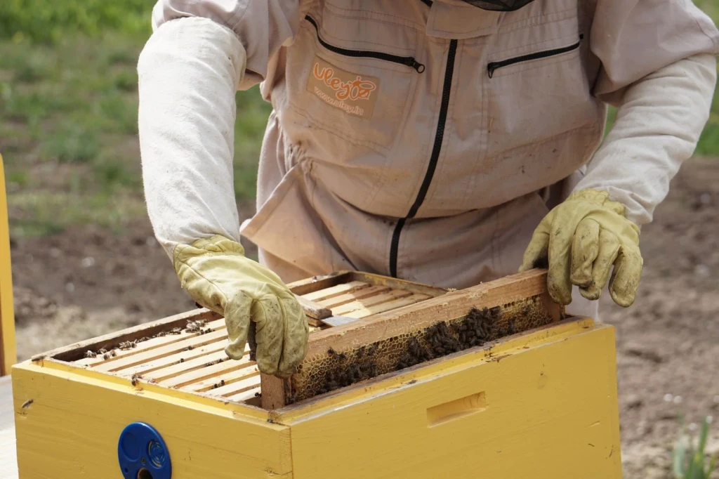 Handling the Frame, from Beekeeping: An Ancient Life with the Hive