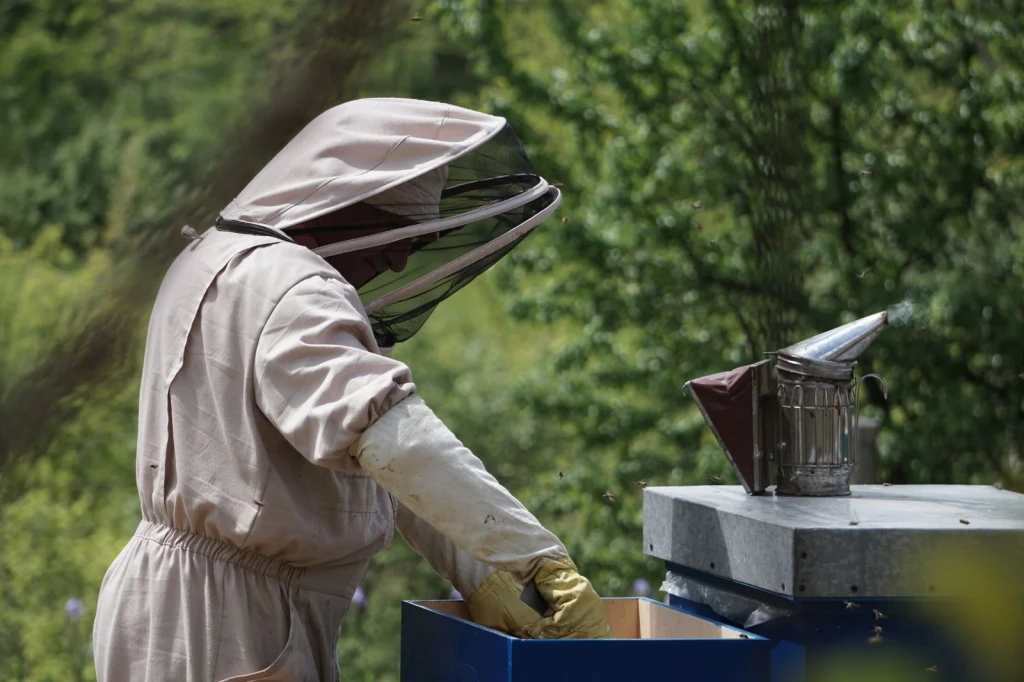 Smoke and Inspection, from Beekeeping: An Ancient Life with the Hive