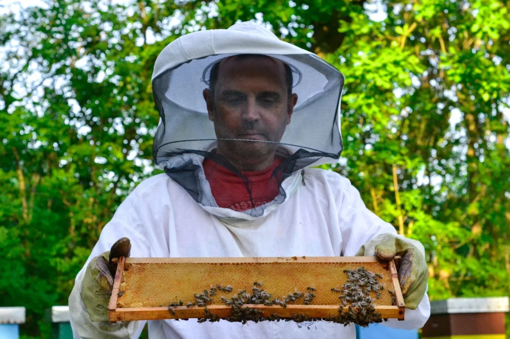 Work in Sunlight, from Beekeeping: An Ancient Life with the Hive