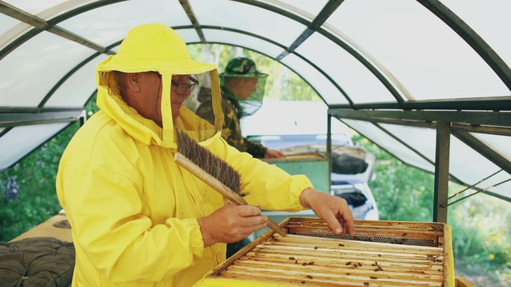 Shelter and Structure, from Beekeeping: An Ancient Life with the Hive