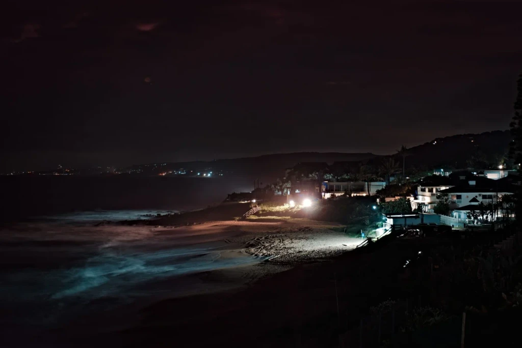 Illuminated Shore, from Bioluminescence: The Living Things That Glow