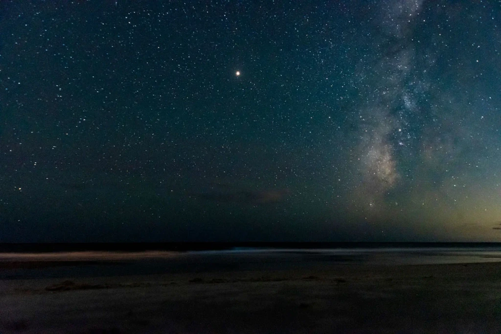 Stars Over the Sea, from Bioluminescence: The Living Things That Glow