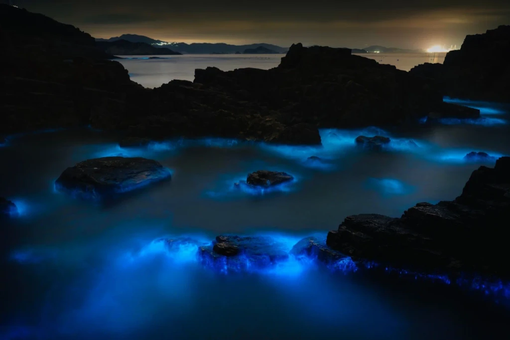 Coastal Glow, from Bioluminescence: The Living Things That Glow