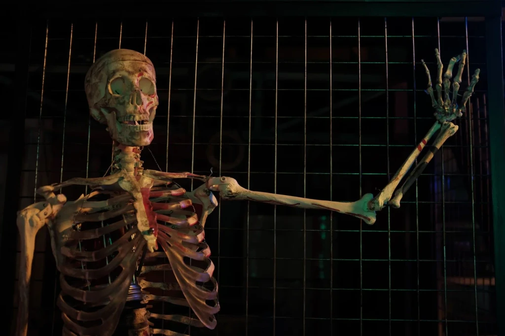 Behind the Fence, from Bones: The Framework You Never See Working
