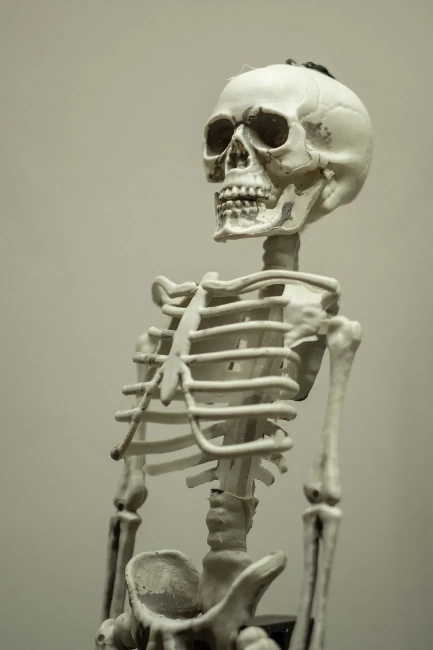 Standing Form, from Bones: The Framework You Never See Working