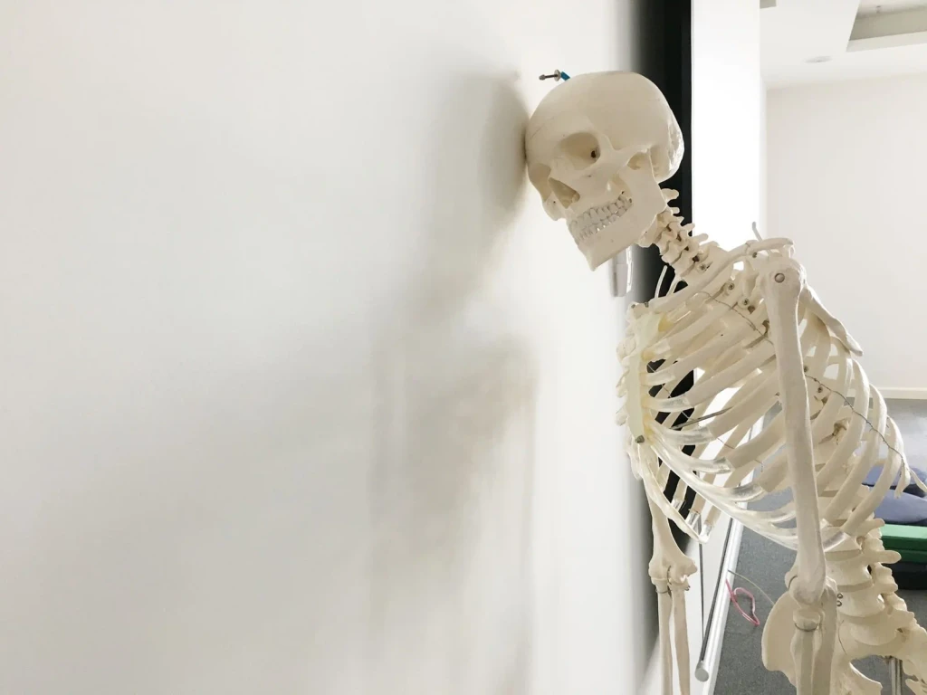 Casual Repose, from Bones: The Framework You Never See Working