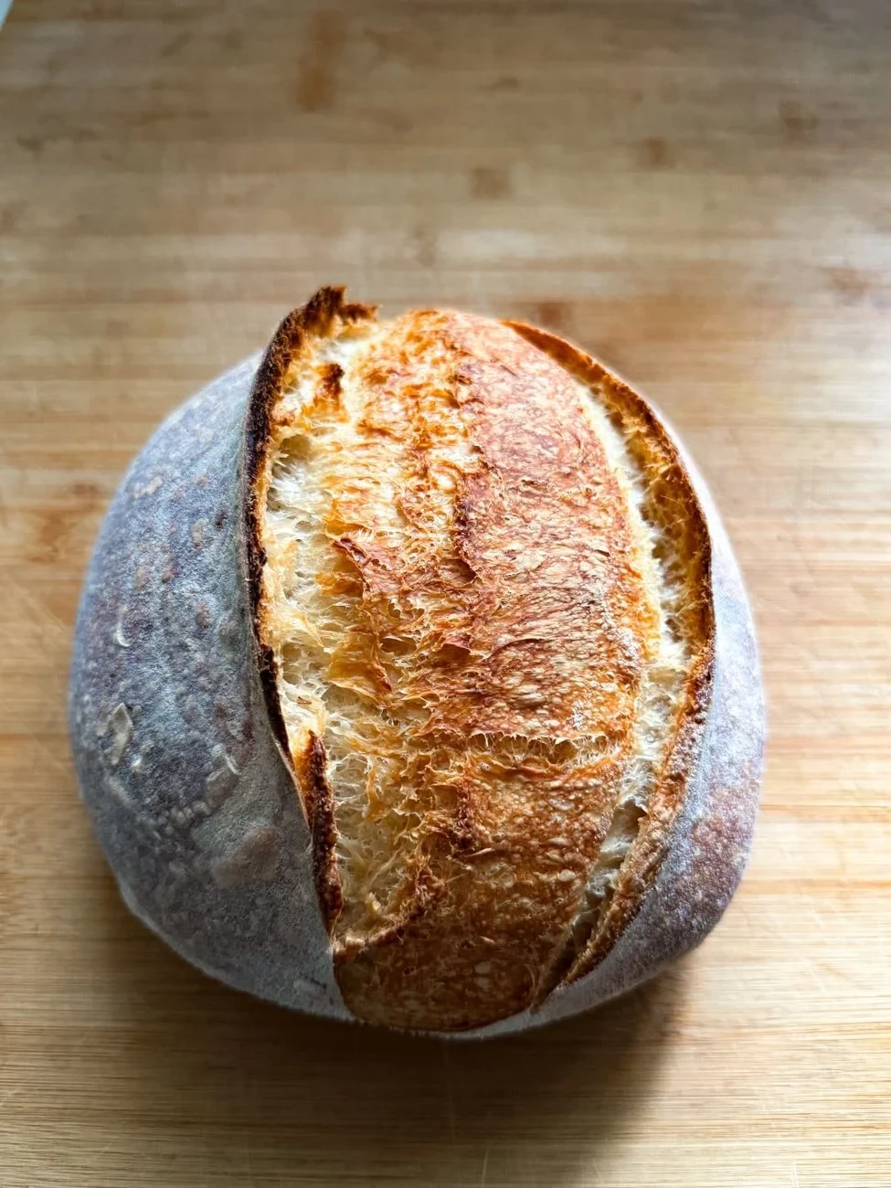 Round Loaf, from Bread and Baking
