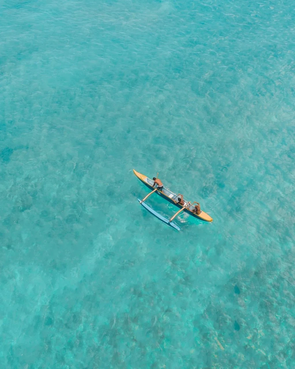 Tropical Waters, from Canoes: The Boats That Settled the Pacific