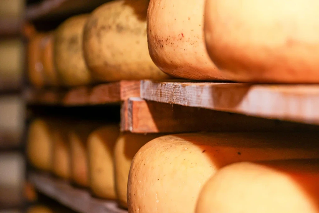Cellar Detail, from Cheese Is Milk That Learned to Keep
