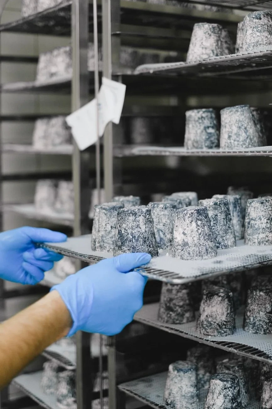 Industrial Preservation, from Cheese Is Milk That Learned to Keep