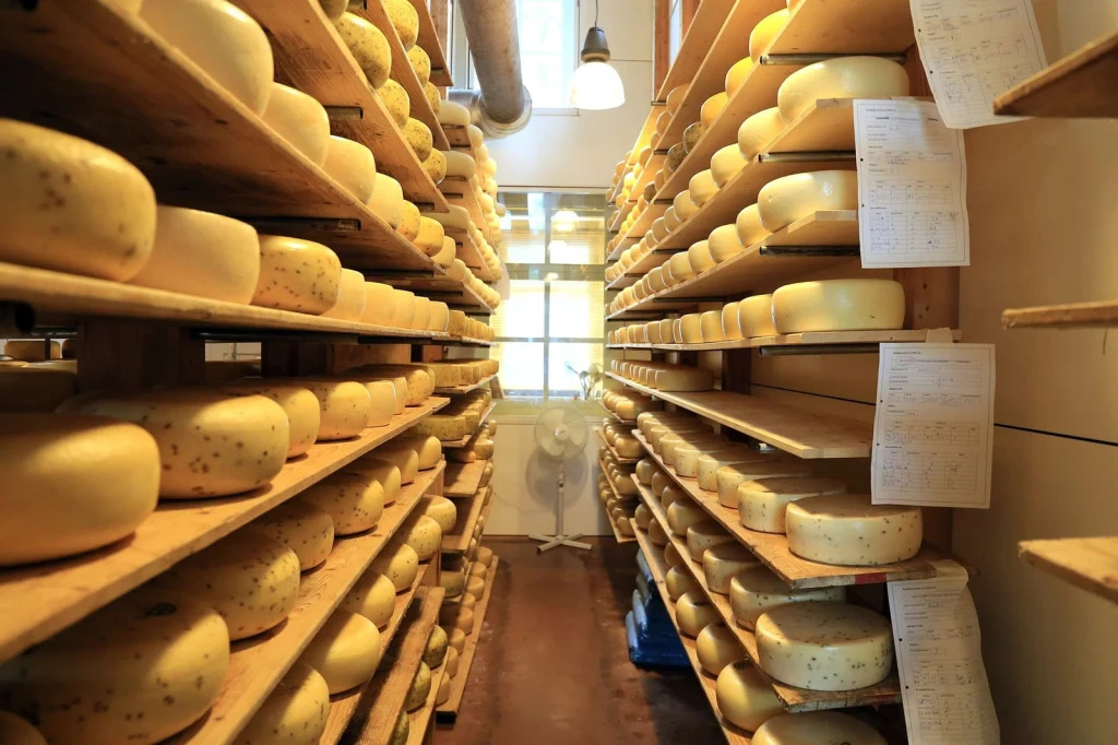 Workshop Shelves, from Cheese Is Milk That Learned to Keep