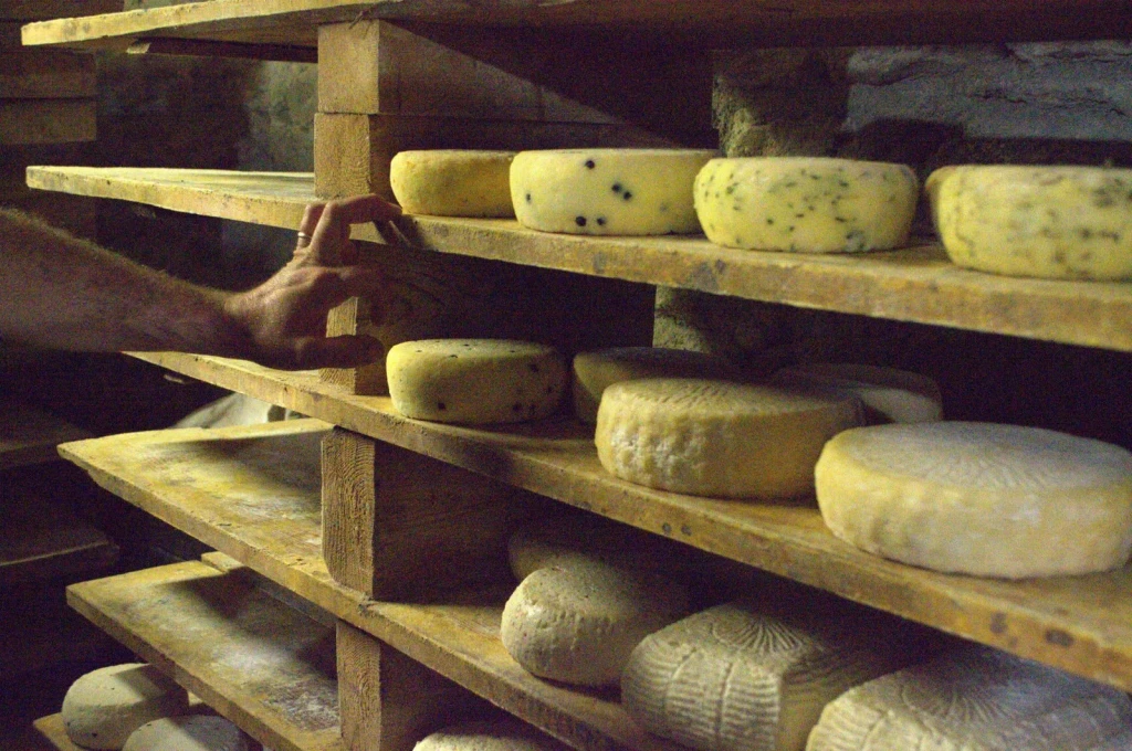 Wooden Guardians, from Cheese Is Milk That Learned to Keep