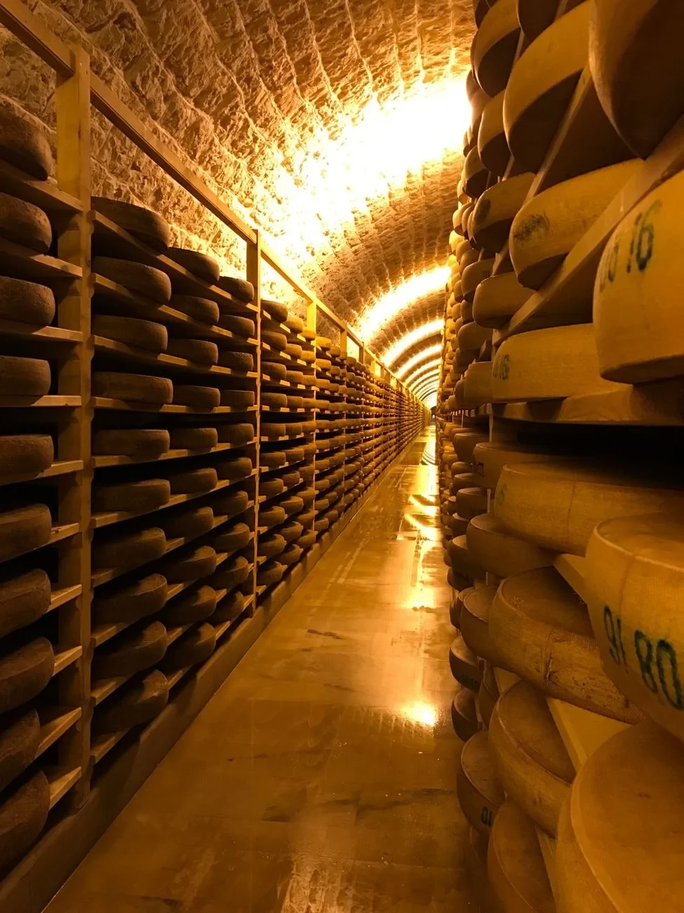 Aging in Rows, from Cheese Is Milk That Learned to Keep