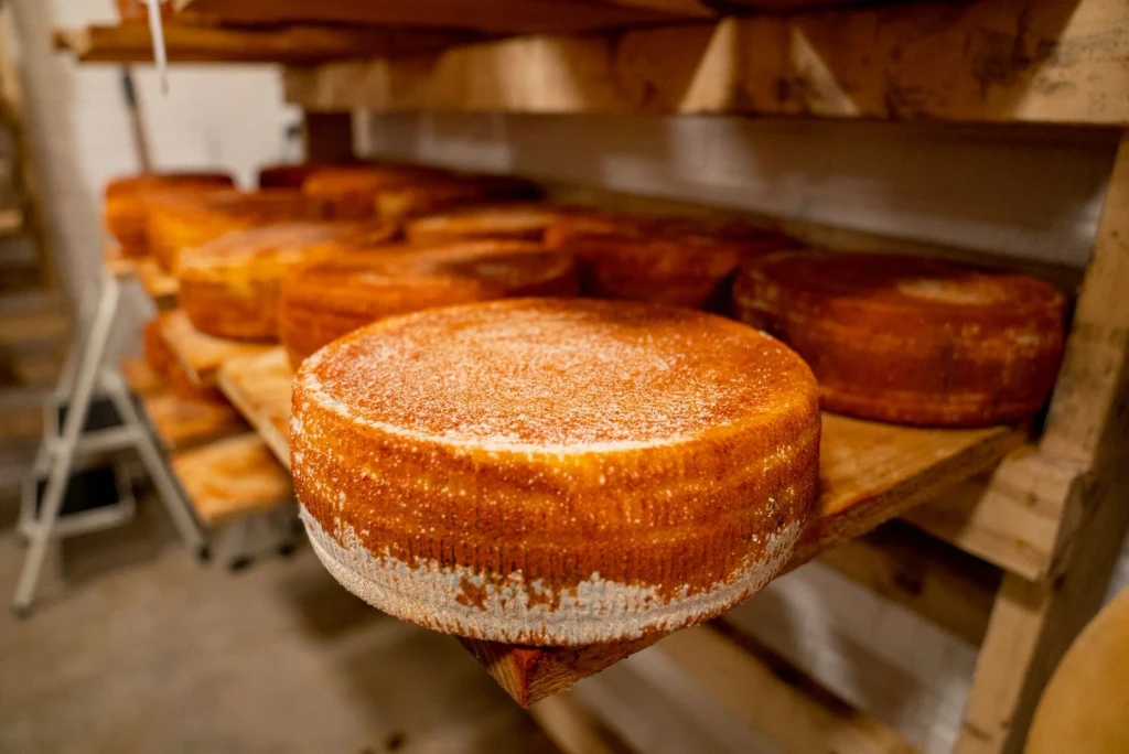 Cellar Rows, from Cheese Is Milk That Learned to Keep
