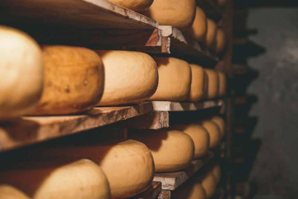 Shelved to Maturity, from Cheese Is Milk That Learned to Keep
