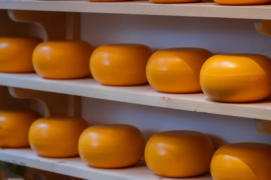 Gouda Rounds, from Cheese Is Milk That Learned to Keep