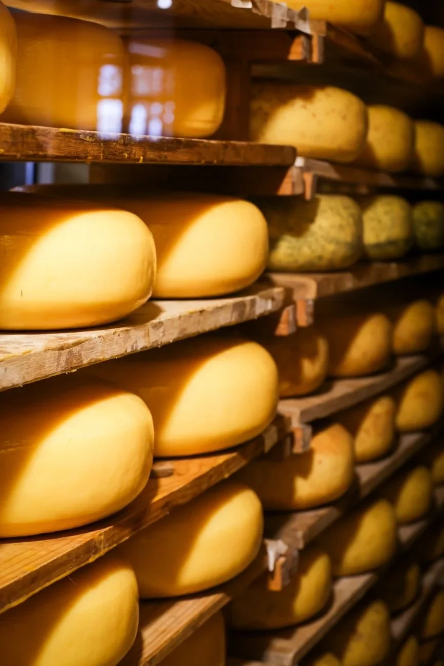 Dimly Lit Patience, from Cheese Is Milk That Learned to Keep