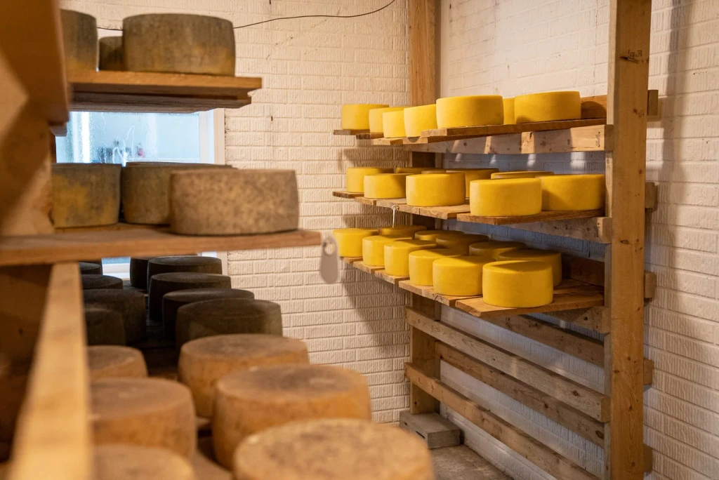 Brick and Aging, from Cheese Is Milk That Learned to Keep