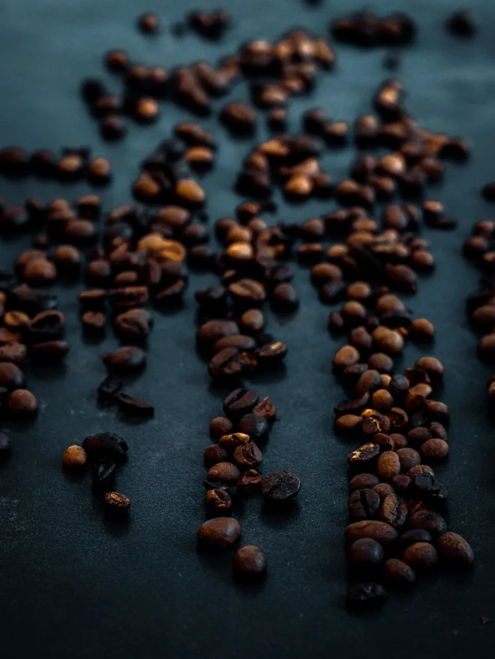 Scattered **Texture**, from Follow the Coffee Bean