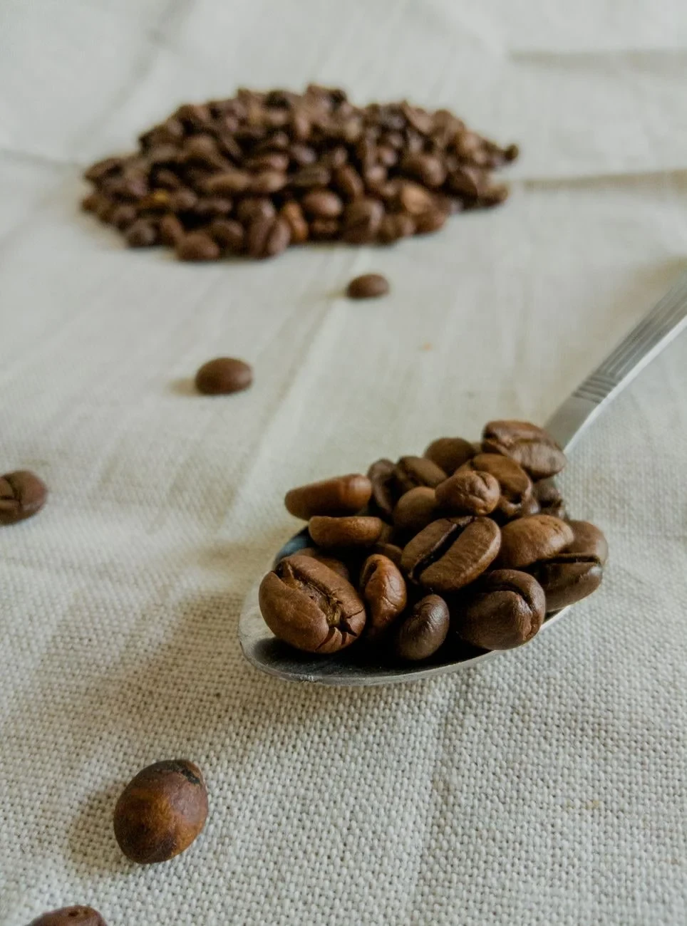 Rustic Rest, from Follow the Coffee Bean