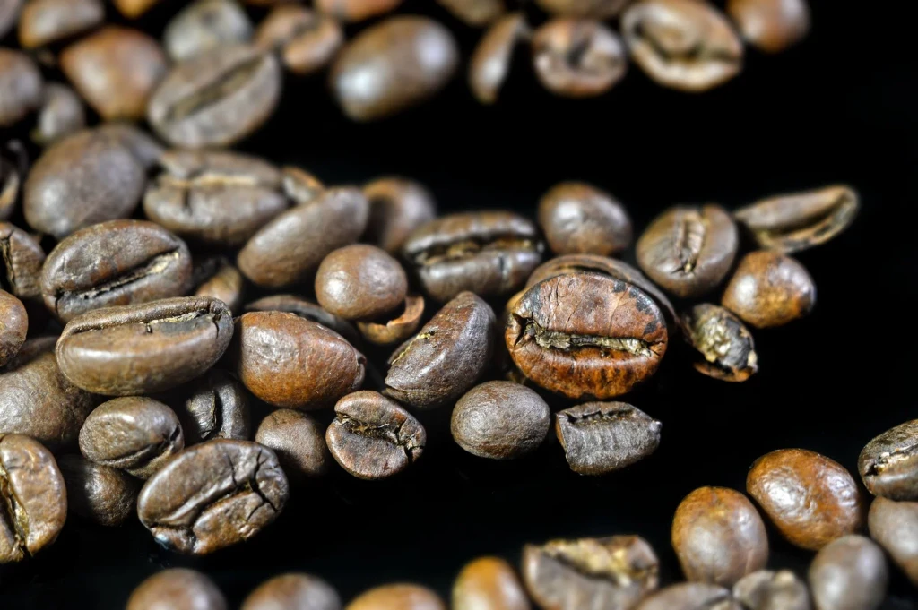 Scattered Aromatics, from Follow the Coffee Bean