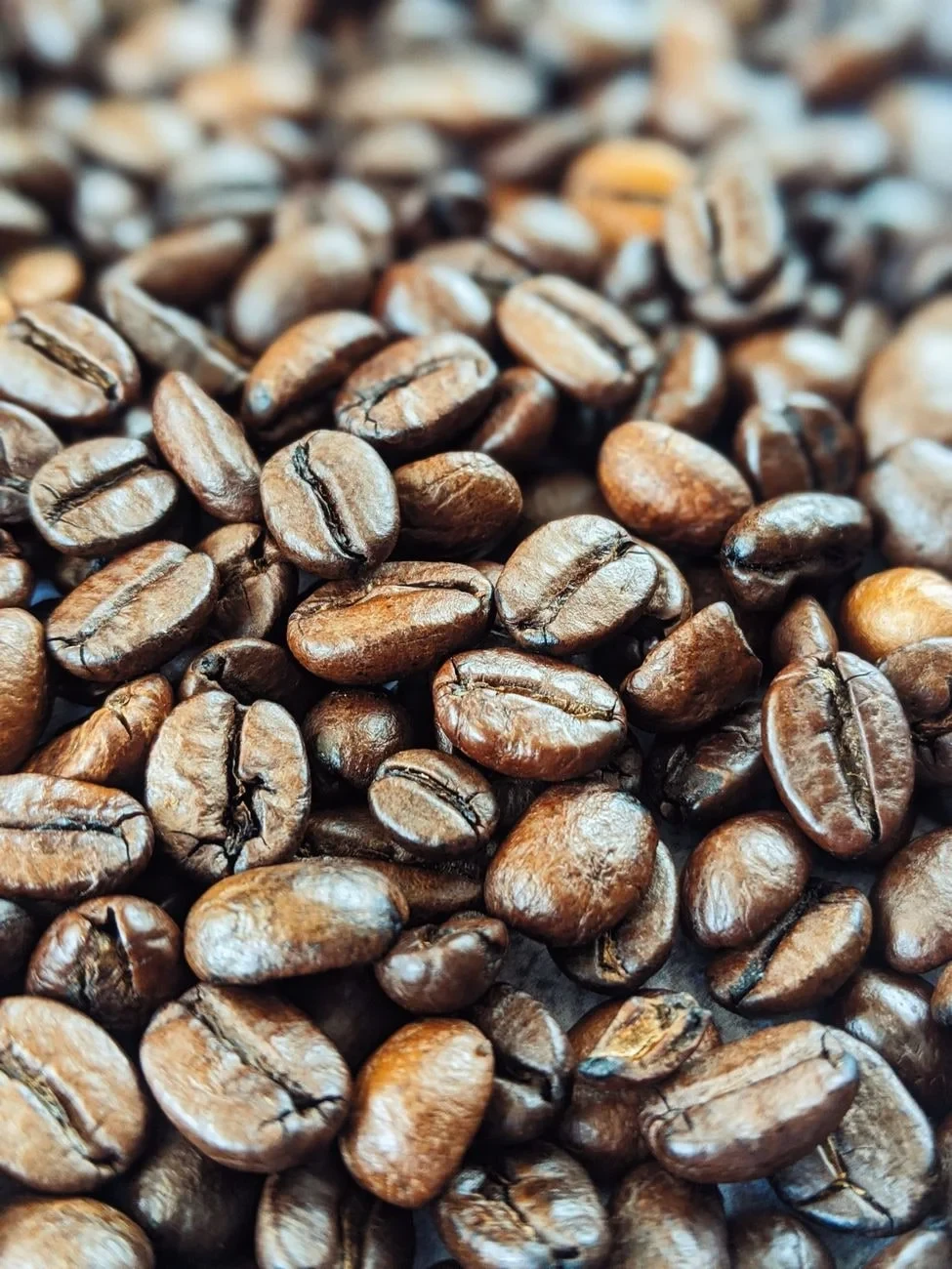 Earthy Tones, from Coffee