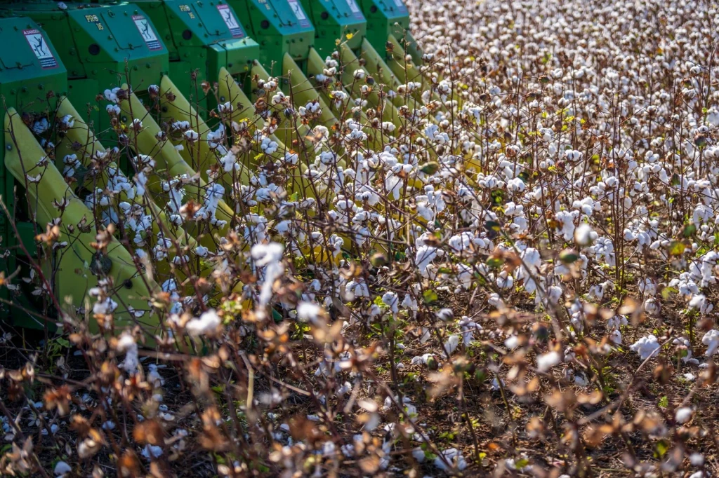 Machine Harvest, from Cotton Changed Labour Forever