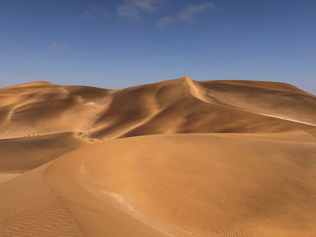 Golden Expanse, from How Deserts Stay Alive