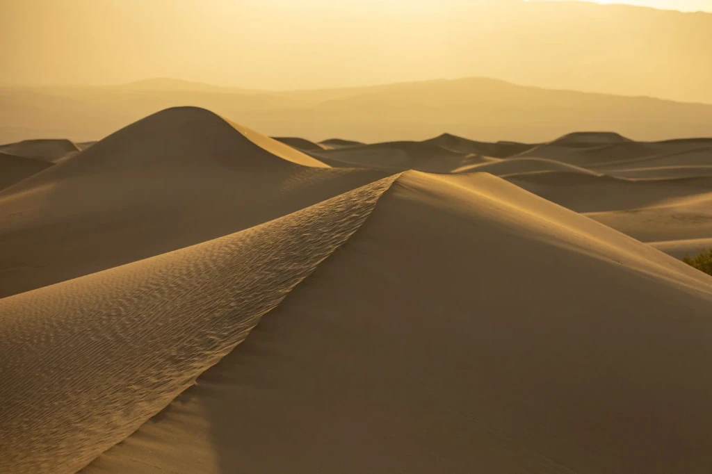 Golden Hour, from How Deserts Stay Alive