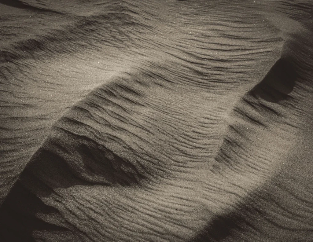 Wavy Surfaces, from How Deserts Stay Alive