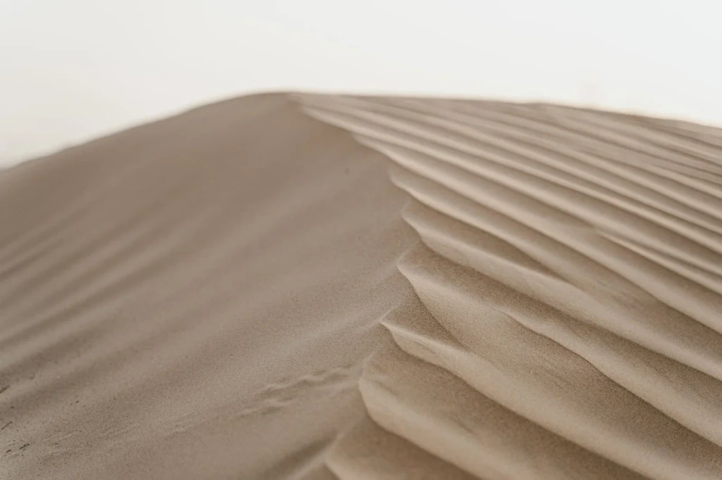 Close Study of Sand, from How Deserts Stay Alive