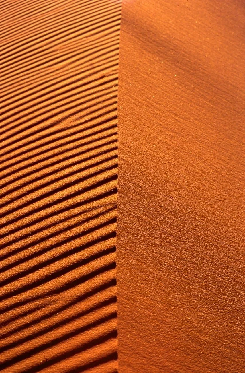 Rippled Surface, from How Deserts Stay Alive