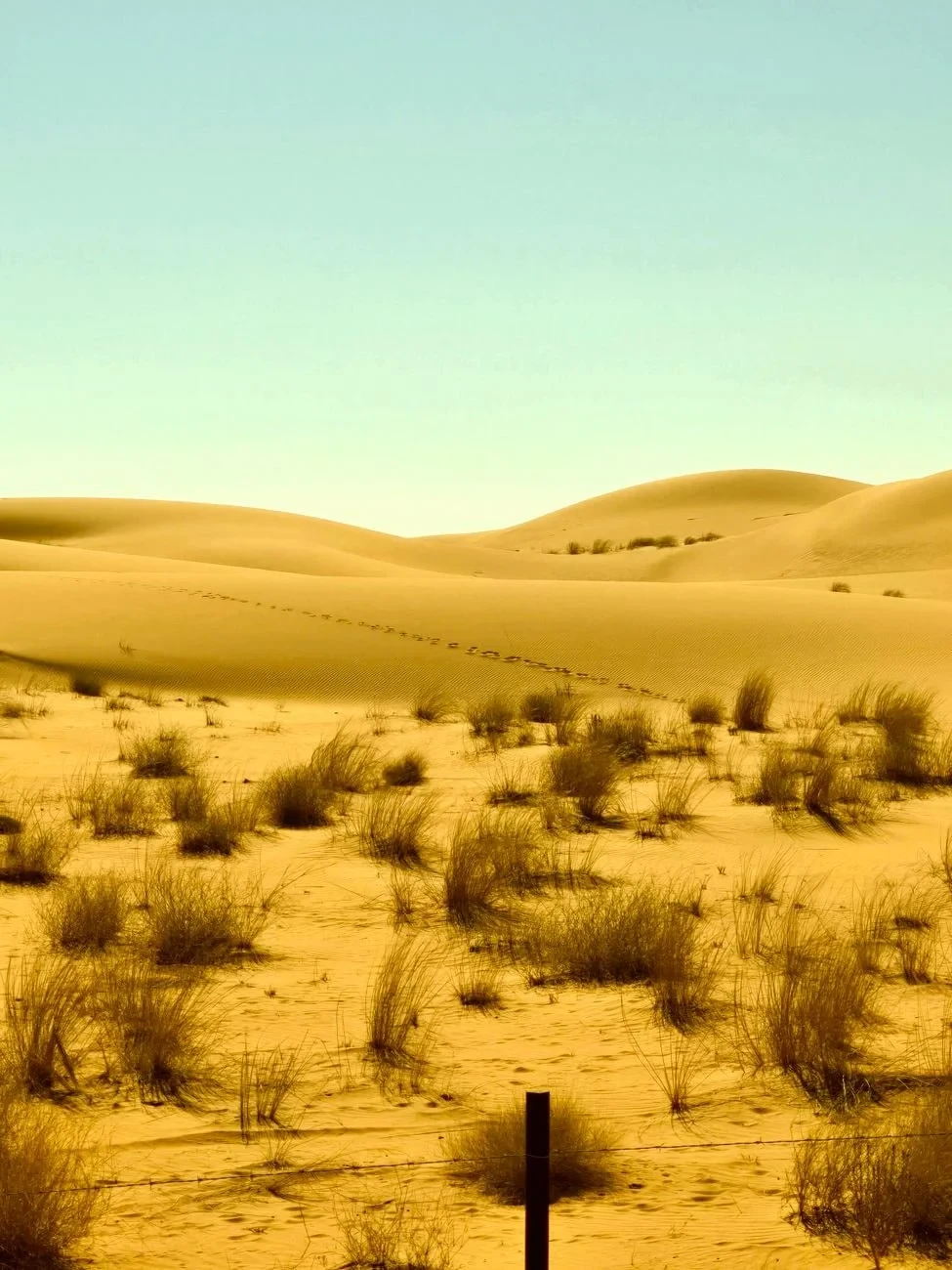 Riyadh's Clear Horizon, from Deserts