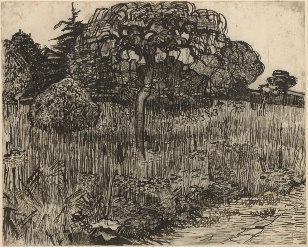Weeping Tree, from Drawing Is Thinking