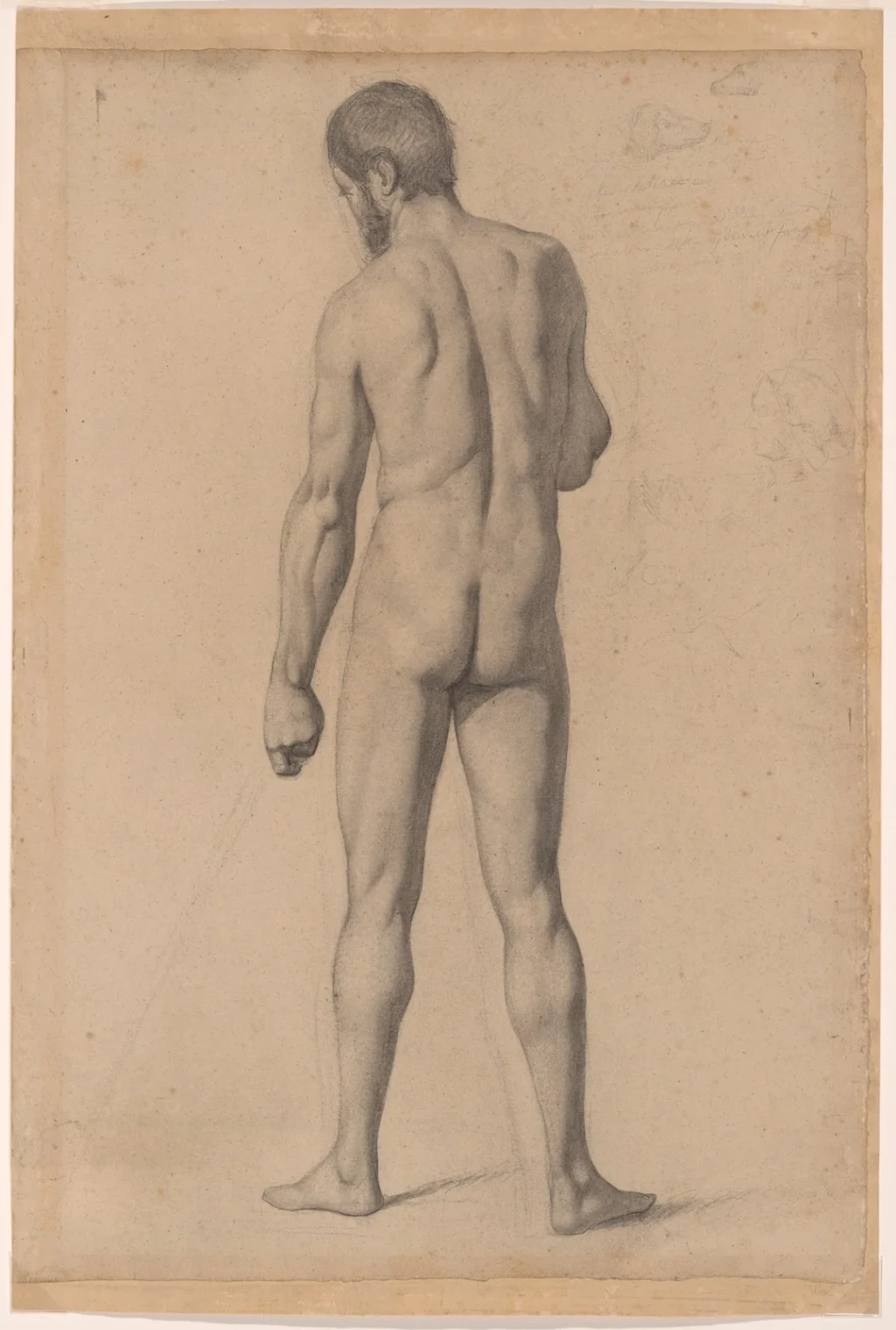 Academic Nude, Seen from the Back, from Drawing Is Thinking