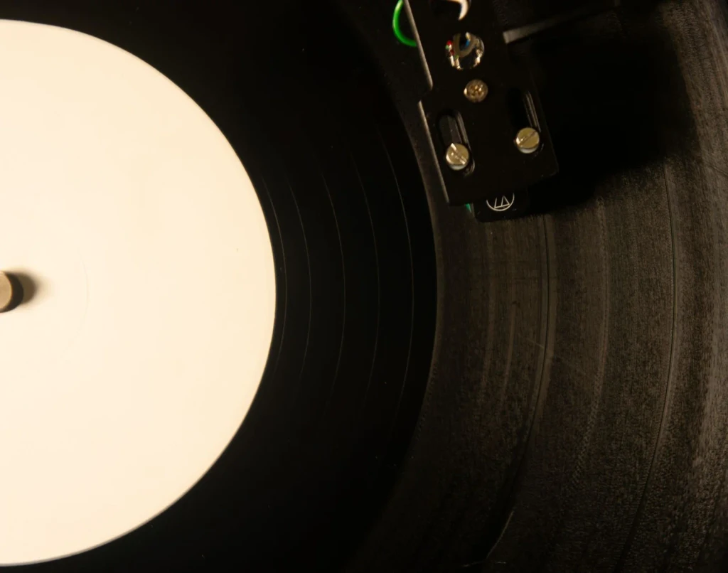 Needle and Groove, from Earthquakes: When the Ground Forgets