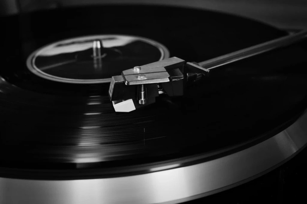 Black and White Record, from Earthquakes: When the Ground Forgets