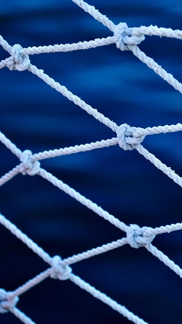 Net Against Sea, from Every Knot Is Applied Geometry