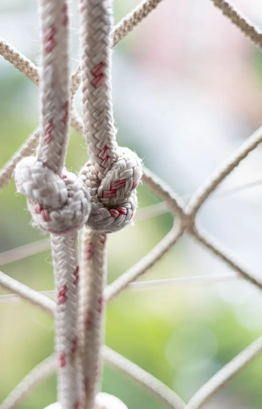 Intertwined, from Every Knot Is Applied Geometry